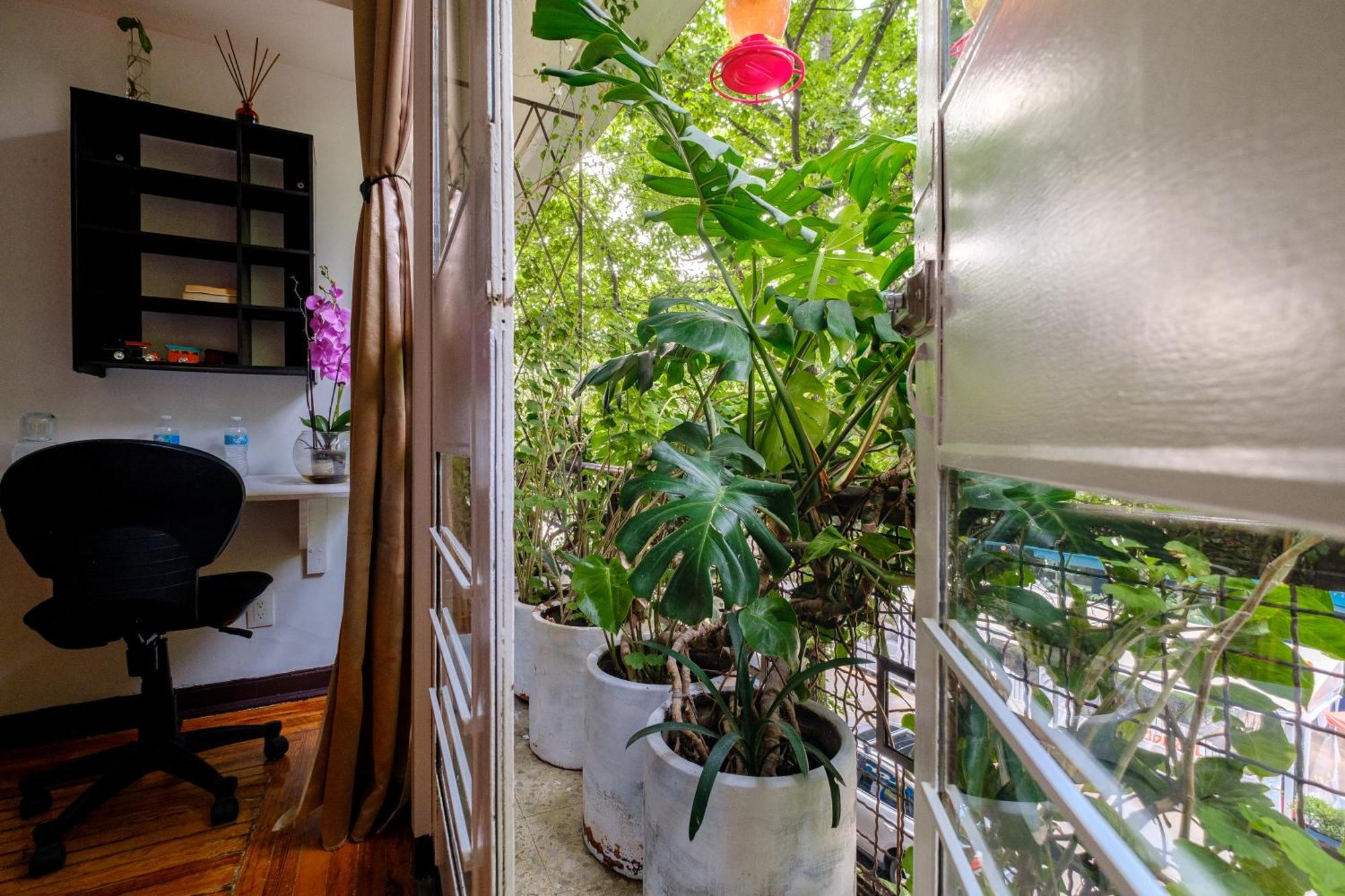 Casa Itzae Polanquito Dog Friendly Mexico City