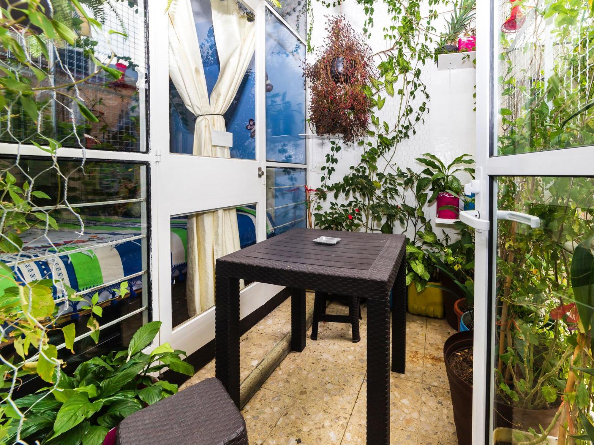 Bed & Breakfast Casa Itzae Polanquito Dog Friendly Mexico City
