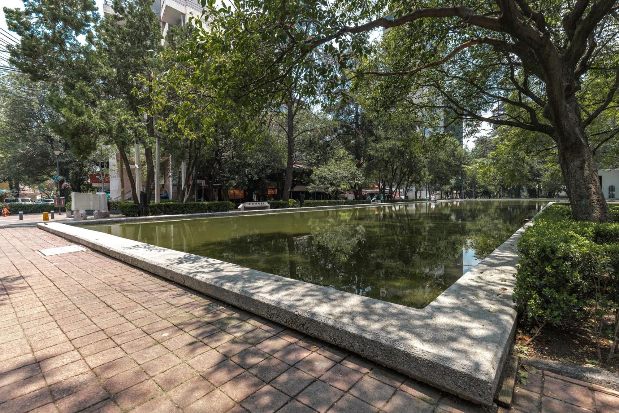 Casa Itzae Polanquito Dog Friendly Bed & Breakfast Mexico City