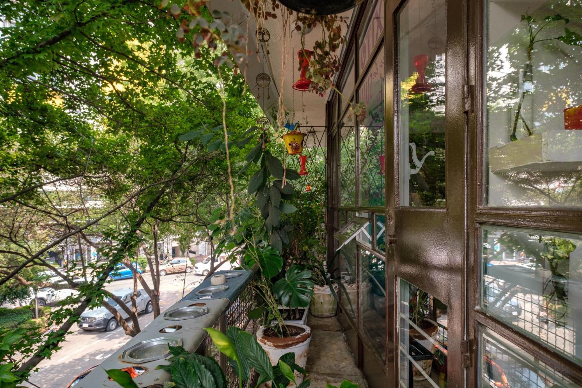 Casa Itzae Polanquito Dog Friendly Bed & Breakfast Mexico City