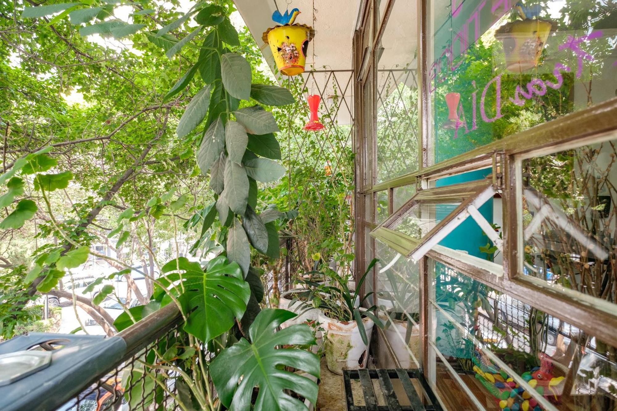 Bed & Breakfast Casa Itzae Polanquito Dog Friendly Mexico City