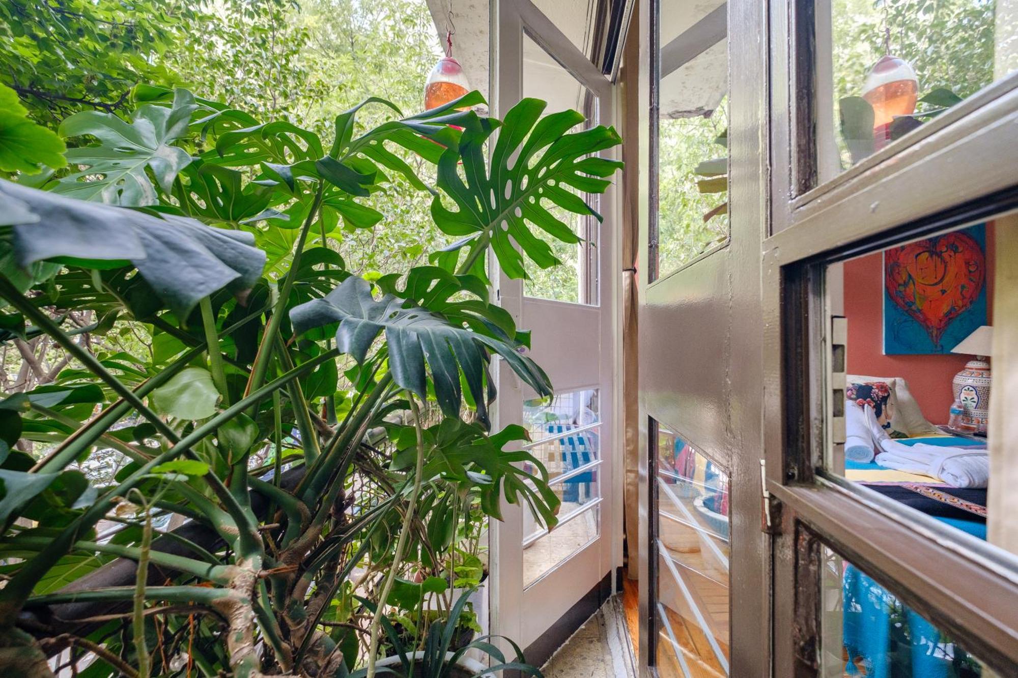 Bed & Breakfast Casa Itzae Polanquito Dog Friendly *
