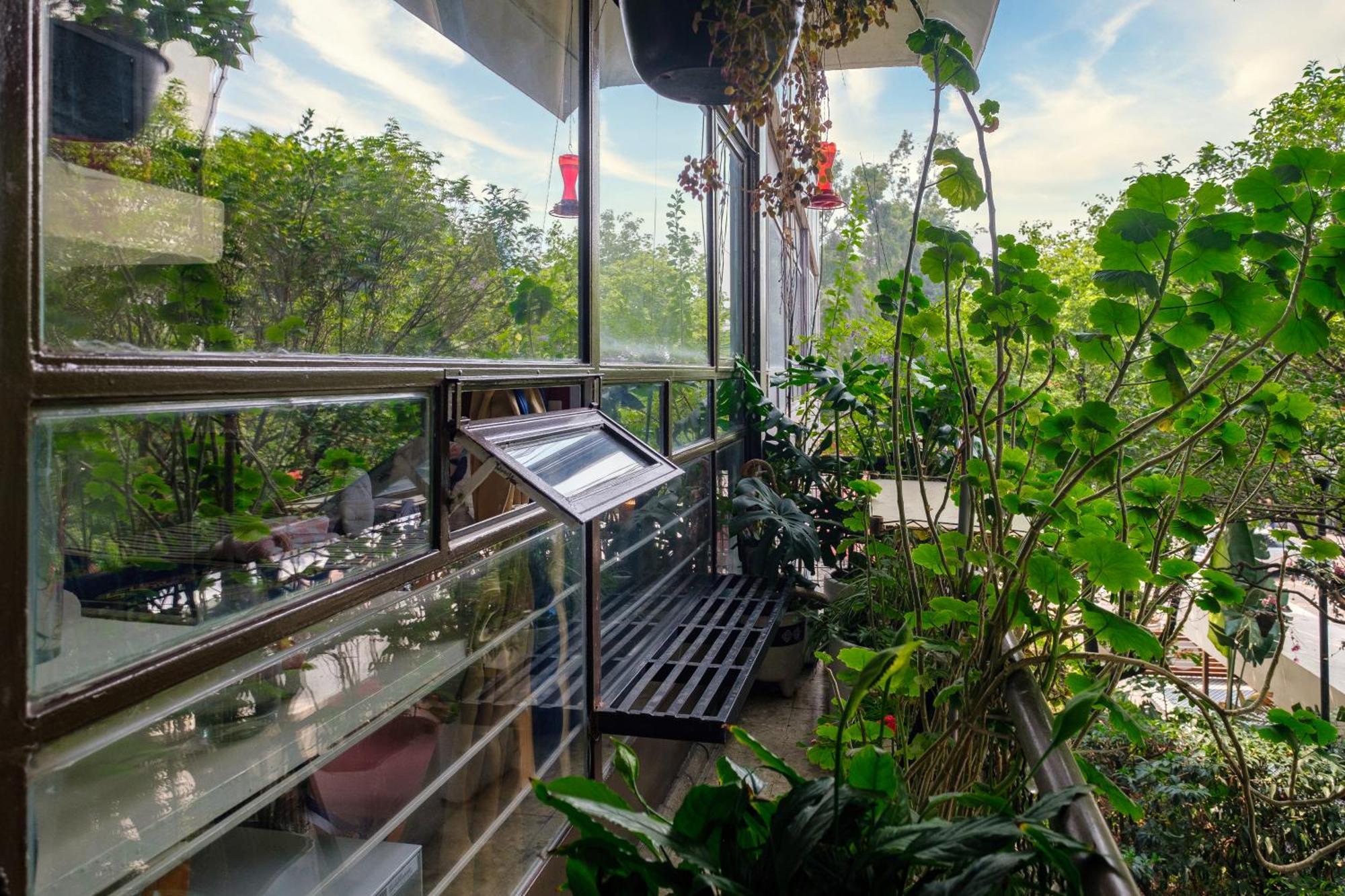 Bed & Breakfast Casa Itzae Polanquito Dog Friendly